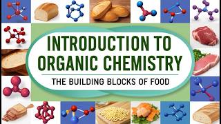 Lecture 1  Introduction to Organic Chemistry  Chemistry for Food Technology [upl. by Cassi485]