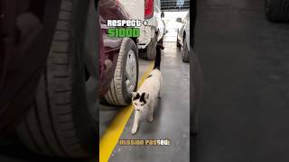 MISSÃO CONCLUÍDA hoje né DONA JAIRA 🤣nascarautosport funilaria funilariaepintura cat catlover [upl. by Randa]