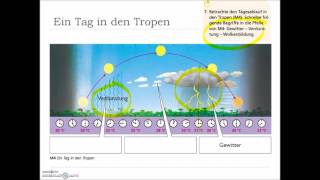 Geographie einfach gemacht Die Tropen  die heiße Zone der Erde [upl. by Attenauq434]