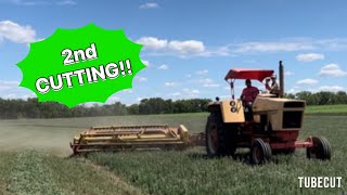 2nd cutting on our new alfalfa fieldfull video [upl. by Driskill403]