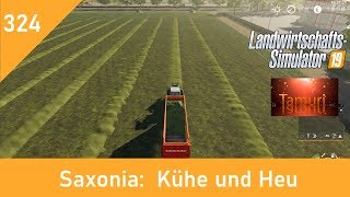 LS19 Saxonia 21 Produktionen und Tiere Lets Play 324 Kühe und Heu [upl. by Yand537]