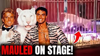 White Tiger ATTACKED His Owners Siegfried amp Roy [upl. by Rhtaeh579]