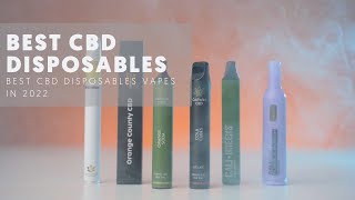 Best CBD Disposables 2022 [upl. by Aidne]