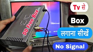 DD Free Dish Box Ko Tv Se Kaise Connect Karen  Box Tv Se Kaise Connect Karen  Free Dish Reset 2024 [upl. by Ahsinut]