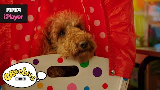 Waffle the Wonder Dog Top 5  Starting School  CBeebies [upl. by Chil626]