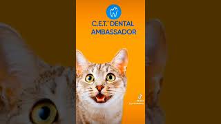 Virbac CET Dental  Mobility Ambassador  Pet Nutrition Ambassador Kits 🦷🐈🐕 VirbacUSA [upl. by Mure]