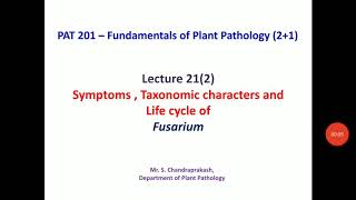 Lecture 21 2  Symptoms and life cycle of Fusarium and Verticillium PAT 201 [upl. by Solley]