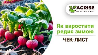 Чеклист по вирощуванню редиски в зимній період  Agrise рекомендує [upl. by Jarrod772]