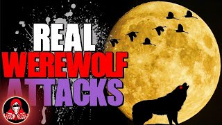 4 REAL Werewolf Attacks  Darkness Prevails [upl. by Aihk]