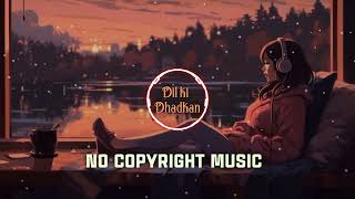 DIL KI DHADKAN  Romantic Song  Mr Bapun Kumar  CDM STUDIO  LOFI SONGS musicsongremixai [upl. by Tibold]