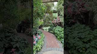 Longwood Gardens East Conservatory Garden Path longwoodgardens [upl. by Iek]