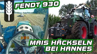 Maishäckseln bei landwirtinmv 2022  Lets drive Fendt Vario 930 [upl. by Pengelly]