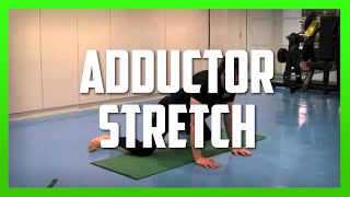 Adductor Frog Stretch [upl. by Darrel]