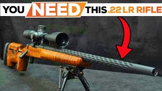 Best 22 LR Rifles 2024 Who Is The NEW 1 [upl. by Eibreh305]