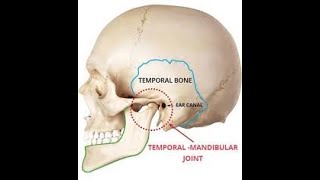 Anatomy of Temporomandibular joint in detail ligaments of TMJAnatomy of TMJ [upl. by Atiuqiram]