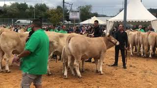 GERNIKA 1 Lunes de OCTUBRE Feria GANADERA PIRENAICA… [upl. by Aissila]