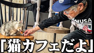 【衝撃】67歳のホームレスが「人生初の猫カフェ」に仲間のホームレスと行った結果… [upl. by Ahsein123]