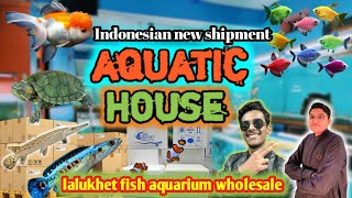 fish aquarium lalukhet  aquatic house lalukhet fish aquarium market Karachi Pakistan update 🐟🐠🦐🐢 [upl. by Dessma]