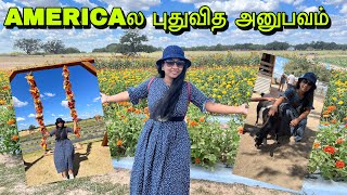 💥Americaல புதுவித அனுபவம் Rockberry Ranch Visit DIML  Tamil vlog USA tamilvlog tamil usa [upl. by Tychonn]