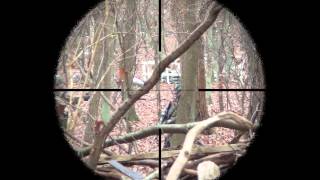 AIRSOFT Tokyo Marui VSR10 Gspec  Teste de perfs en Scope Cam [upl. by Fotzsyzrk509]