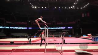 GRIESSER Leah GER  2015 Artistic Worlds  Qualifications Uneven Bars [upl. by Bazil199]