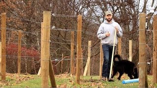 Protecting Grapevines from Winter Injury [upl. by Dean]