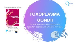 Toxoplasma Gondii  Parasitology Simplified tutorials For NEETPG NEXT USMLE PLAB UKMLE FRCP [upl. by Azalea345]