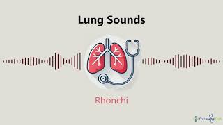 Lung Sounds Rhonchi [upl. by Scrogan]