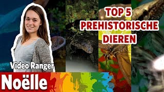 Top 5 prehistorische dieren [upl. by Durr]