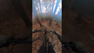 RR1 to RR2 🪨🐢💨 mtb mtbpark bikepark mountainbike qc fall automne rock [upl. by Dam]