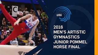 2016 Junior Pommel Horse final European Championships  Bern SUI [upl. by Akemaj]