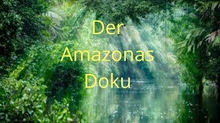 Doku Tiere im AMAZONAS 2019 HD [upl. by Jurdi432]