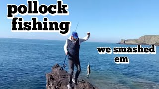 smashing the pollack sw scotland fishing seabassfishing pollackfishing savagegear [upl. by Ahsenar]