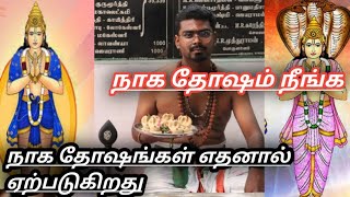 naga dosham pariharam in tamil  Sarpa Shanti Homam  jothida nanban [upl. by Ainala]