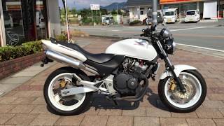 Honda Hornet 250 in Pearl White  Apexmoto Inc Motorcycle Sales [upl. by Nelda]