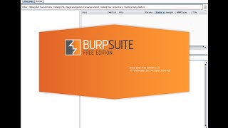 Burp suite basics each of the tabs [upl. by Kir81]