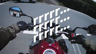 CB650R Squidding  Sea Cliff Bridge ONLY Engine Sound [upl. by Alhsa]