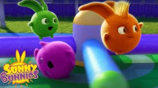 SUNNY BUNNIES  JUMP  Season 7 COMPILATION  Cartoons for Children [upl. by Aihgn260]