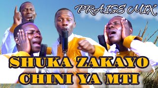 SHUKA ZAKAYA CHINI by Apostle Nganga ALICHUKUA MIZIGO YANGU ACHA KUSUMBUKA amp YESU NI DARAJA [upl. by Sheeree]