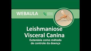 Webaula  Leishmaniose Visceral Canina [upl. by Allecnirp595]