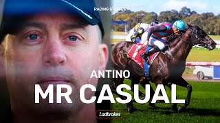 Will Antino Deliver Tony Gollan A LongAwaited Stradbroke Handicap Win [upl. by Mirelle]