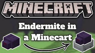 How to Trap an Endermite in a Minecart 117 [upl. by Mullen532]