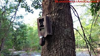 Setting up Trail Cams with Lock Boxes from CAMLOCKBOXCOM Trail Camera Lock Box DIY [upl. by Partan283]