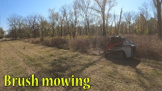 First Time Using The Diamond Mower On The Takeuchi TL12R2 [upl. by Melany]