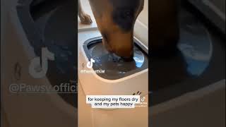 Shop now our NonSpill Pet Drinking Bowl and other pet supplies usa reels youtubeshorts bowls [upl. by Faydra]