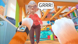 Grandmas VR Rage Is HILARIOUS [upl. by Jamnis]