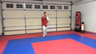 Taekwondo Palgwe Poomsae 18 by James Hollywood Chua 8 years old Fresno Martial Arts [upl. by Juanita]