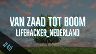 40 DIY appelboom kweken  VAN ZAAD TOT BOOM deel 1 [upl. by Elsinore]