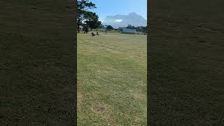 Time trial Pinelands 21 November 2024 [upl. by Dlareg184]