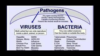 Pathogens [upl. by Geraud171]